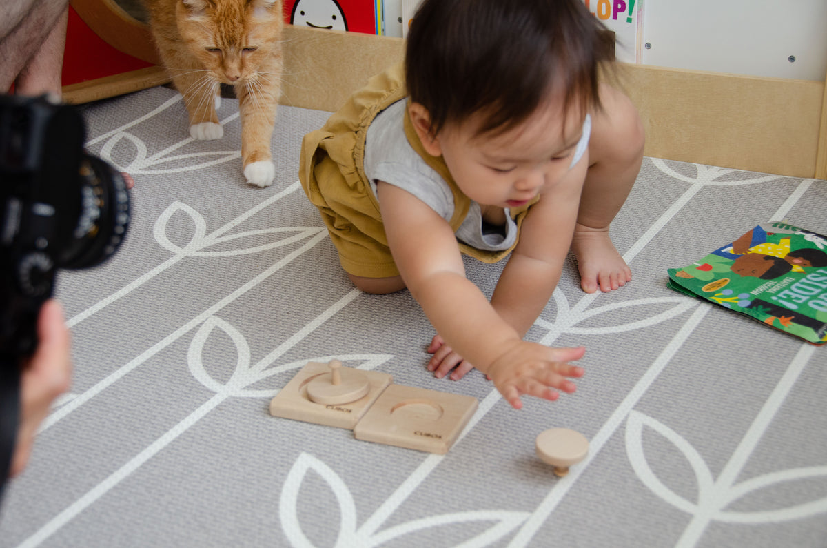 Circle puzzles